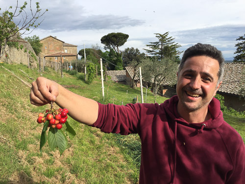 Enea holding a bunch of cherries